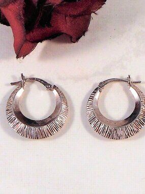Sterling Silver Earrings With Highly Textured Knife Edge For Max Flash